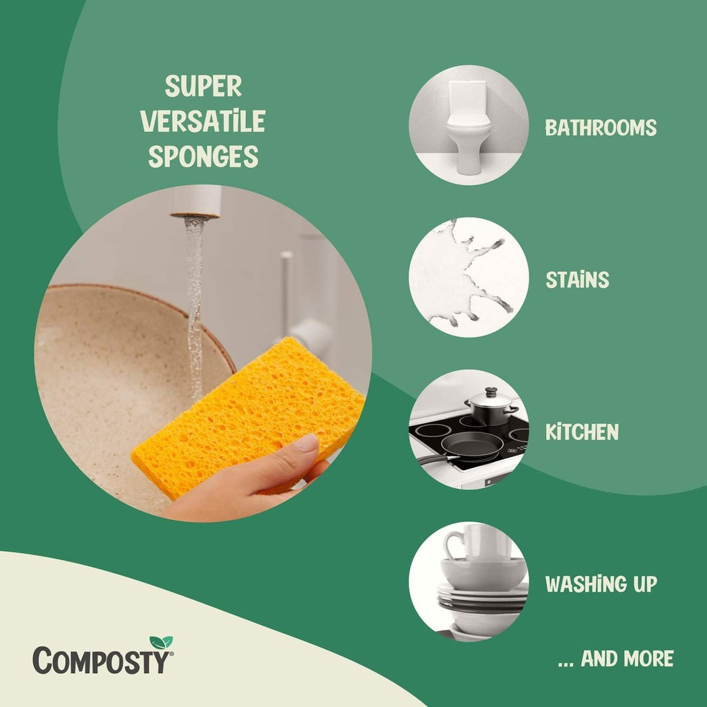 Try-Me Bundle: The Better Sponge Family