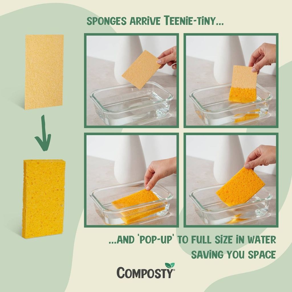 Try-Me Bundle: The Better Sponge Family